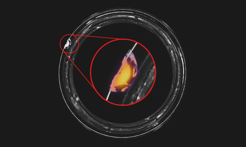 Defect Detection